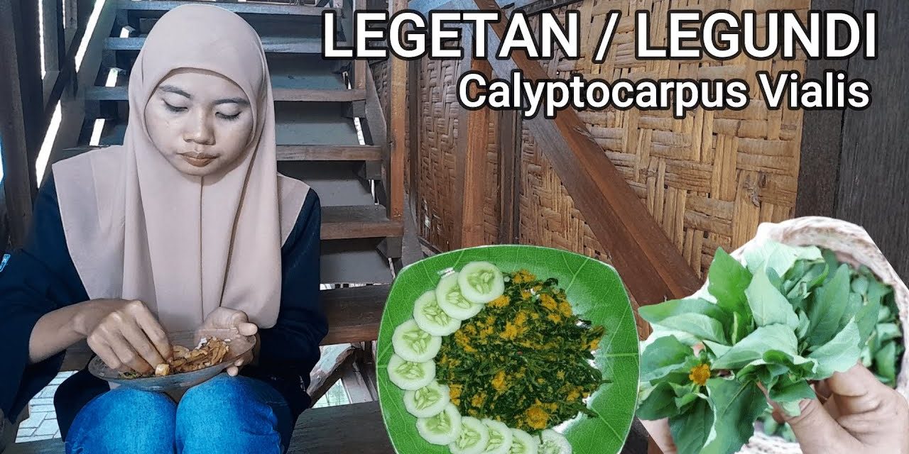 Tips Memasak Daun Legetan Agar Tidak Getir Ala Rumahan