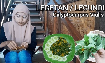 Tips Memasak Daun Legetan Agar Tidak Getir Ala Rumahan