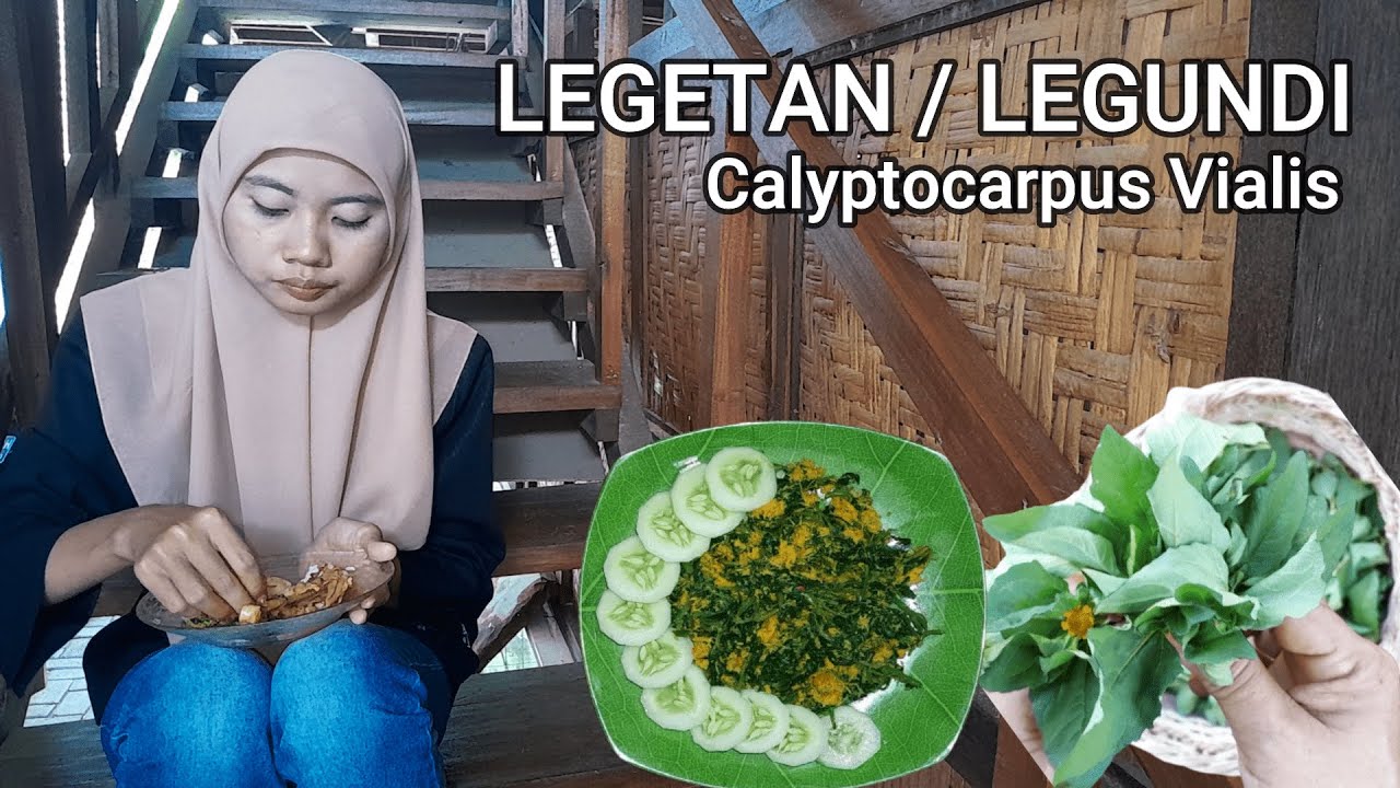 Tips Memasak Daun Legetan