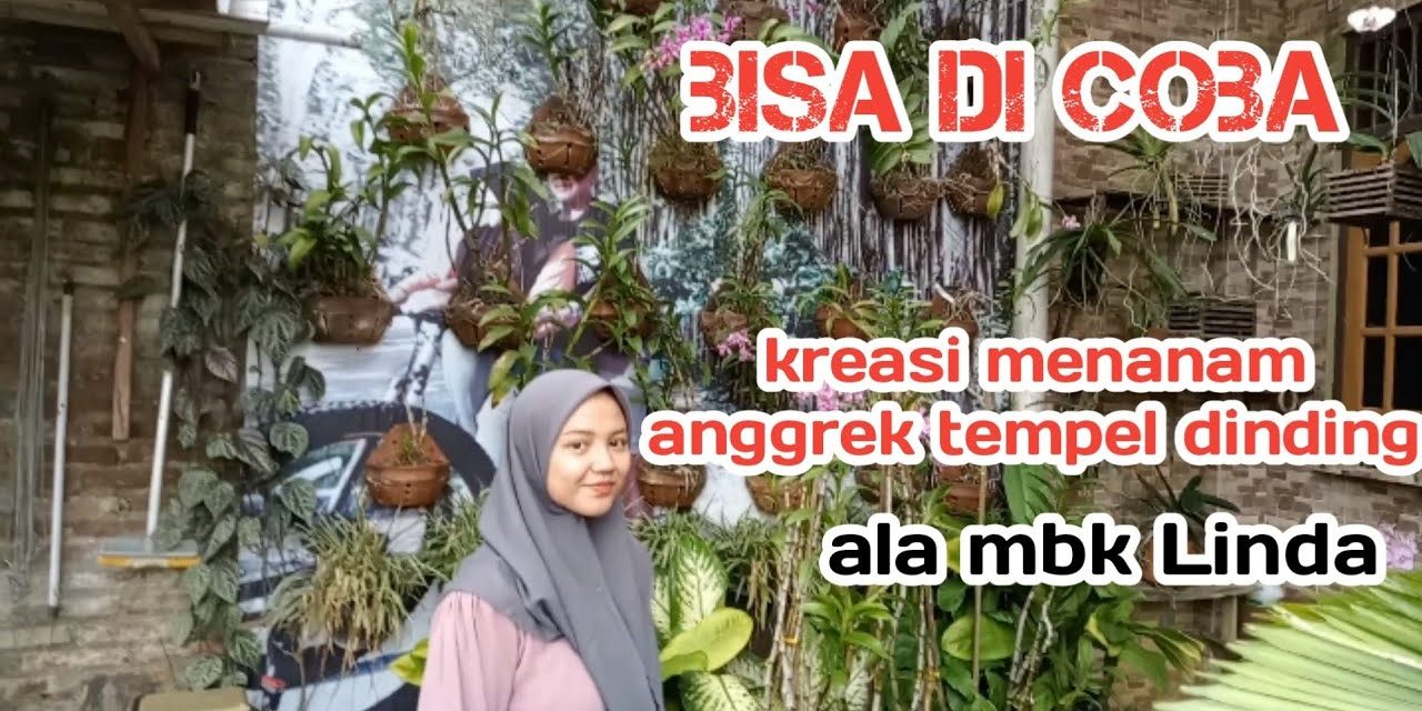 Bikin Dinding Makin Cantik! Ini Cara Menanam Anggrek Tempel