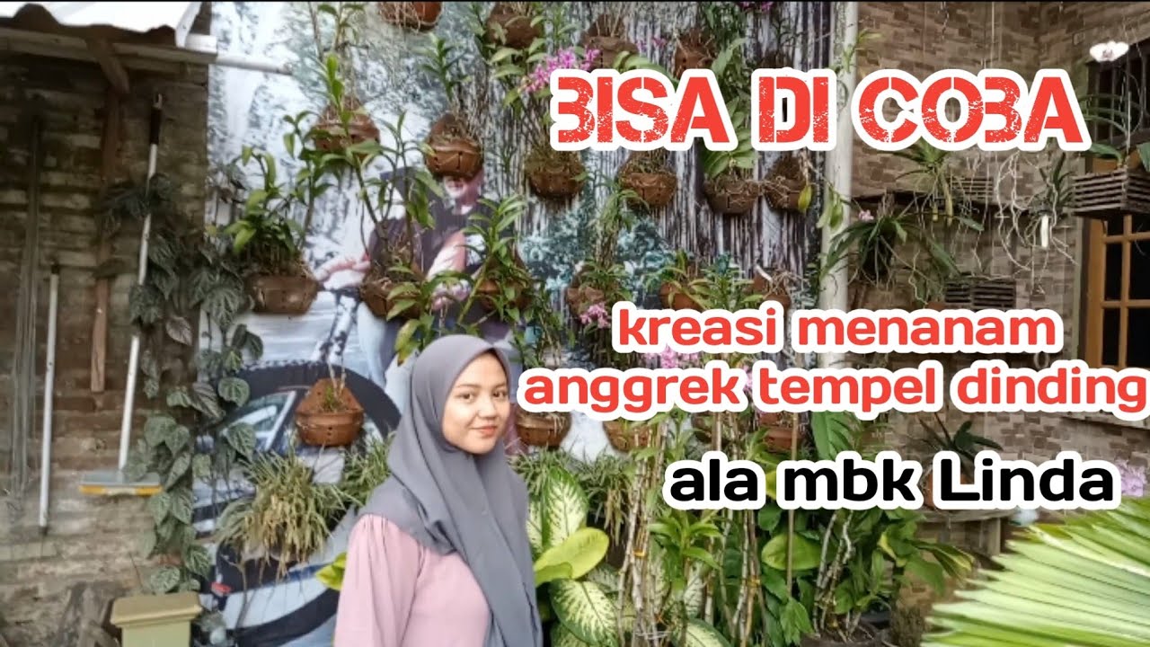 Bikin Dinding Makin Cantik