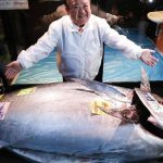 Mengintip Proses Lelang Tuna Sirip Biru Paling Bergengsi