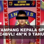 Kasus Dugaan Pencabulan, BGN Copot Kepala SPPG Di Lampung