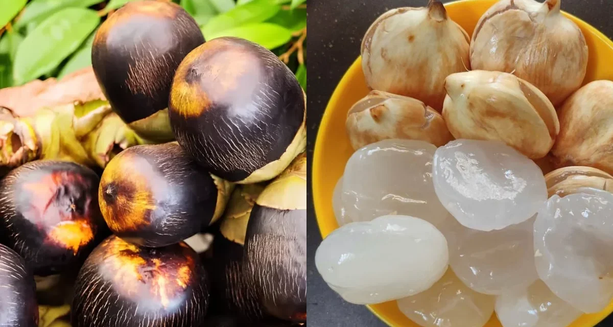 Buah Siwalan Kini Efektif Menyegarkan Dan Menghidrasi Tubuh