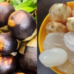 Buah Siwalan Kini Efektif Menyegarkan Dan Menghidrasi Tubuh
