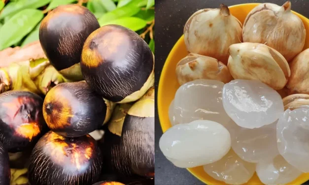 Buah Siwalan Kini Efektif Menyegarkan Dan Menghidrasi Tubuh