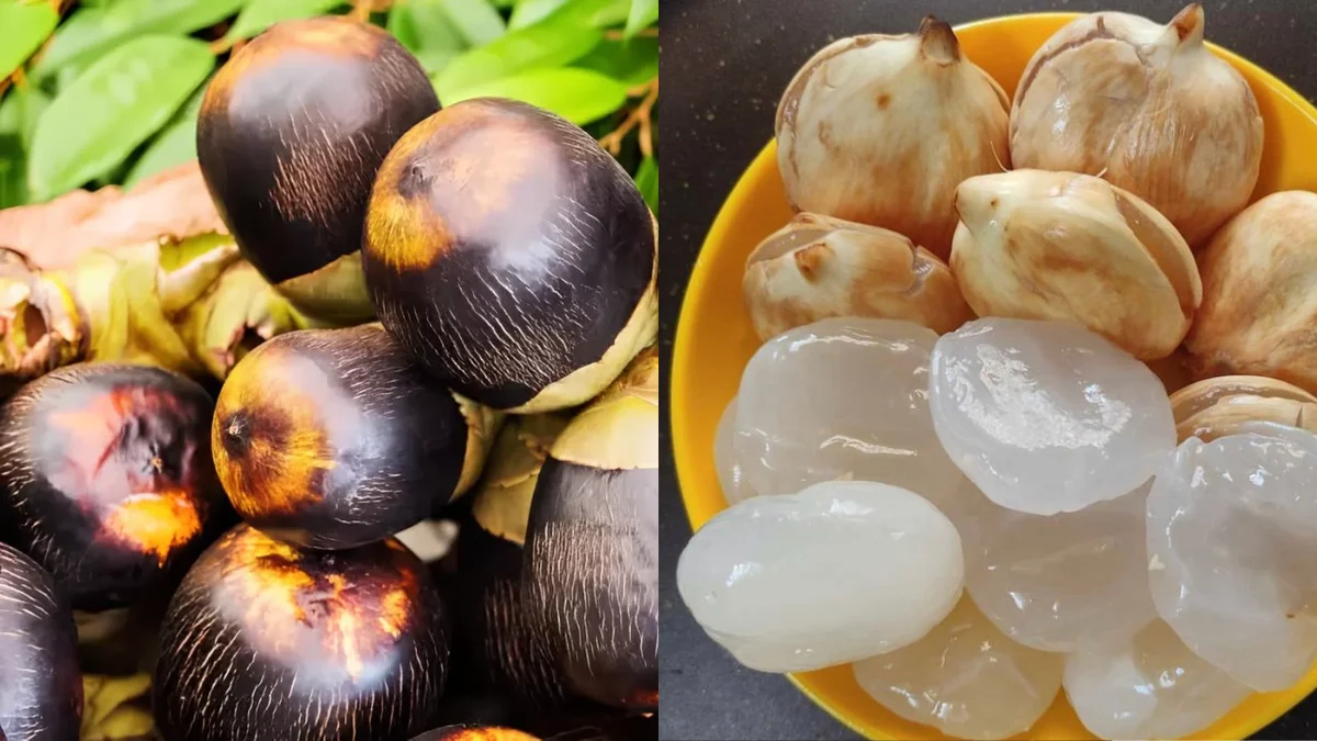 Buah Siwalan