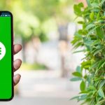 Media LINE Aplikasi Chat Populer Fitur Lengkap Untuk Komunikasi