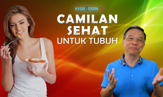 Cemilan Sehat Untuk Menunjang Kesehatan Tubuh, Yuk Simak