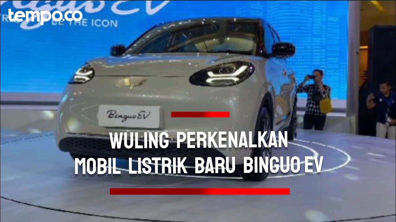 Wuling Binguo EV