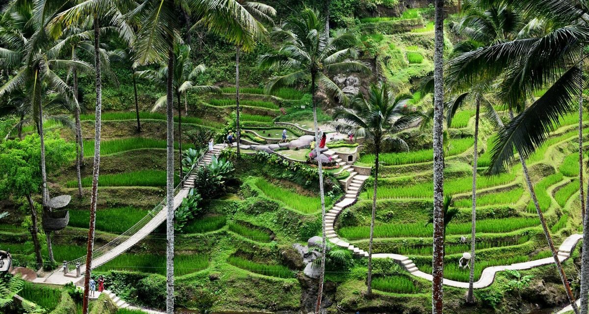 Eksplorasi Ubud Dari Sawah Terasing Hingga Kehidupan Spiritual