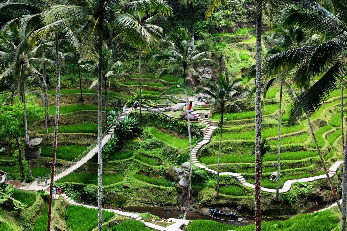 Eksplorasi Ubud