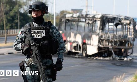 Akhir Dari Perburuan Panjang EL Mencho Oleh Militer Di Meksiko
